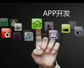 山東德州APP開發(fā)與信息技術(shù)咨詢服務(wù)指南